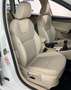 Skoda Octavia Octavia Combi Style Green tec*1,0-85KW*LED*AHK*EU6 Weiß - thumbnail 19