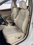 Skoda Octavia Octavia Combi Style Green tec*1,0-85KW*LED*AHK*EU6 Weiß - thumbnail 16