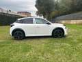 Lancia Ypsilon nuova lx 1.2 100cv ibrida Bianco - thumbnail 11