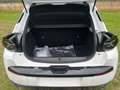 Lancia Ypsilon nuova lx 1.2 100cv ibrida Blanc - thumbnail 16