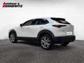 Mazda CX-30 G122 Comfort+/ST Weiß - thumbnail 2