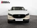 Mazda CX-30 G122 Comfort+/ST Weiß - thumbnail 5