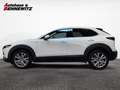 Mazda CX-30 G122 Comfort+/ST Weiß - thumbnail 3