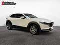 Mazda CX-30 G122 Comfort+/ST Weiß - thumbnail 1