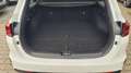 Kia Ceed SW / cee'd SW Sportswagon TOP AT Top*VollLED*Navi*Shzg*Cam*AH... Weiß - thumbnail 20