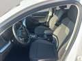 Skoda Octavia Combi Selection 1.5 TSI mHEV DSG Weiß - thumbnail 11