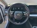 Skoda Octavia Combi Selection 1.5 TSI mHEV DSG Weiß - thumbnail 12