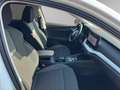Skoda Octavia Combi Selection 1.5 TSI mHEV DSG Weiß - thumbnail 17