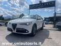 Alfa Romeo Stelvio Stelvio 2017 2.2 t Super 2WD 150cv auto Bianco - thumbnail 15