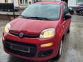 Fiat Panda Panda 1.2i Lounge Rood - thumbnail 2