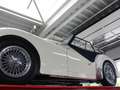 Triumph TR3 A Restored condition, Frame-off restoration in 200 Blanco - thumbnail 13