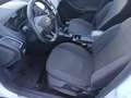 Ford Focus Focus SW 1.5 tdci Titanium s Bianco - thumbnail 9