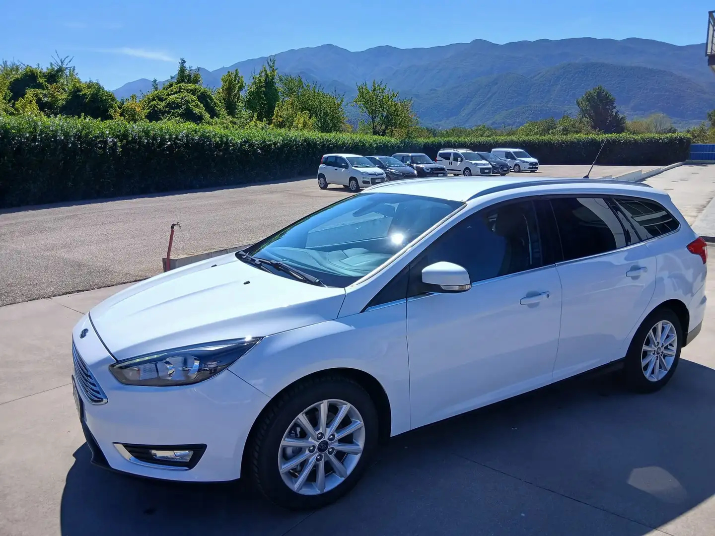 Ford Focus Focus SW 1.5 tdci Titanium s Bianco - 2