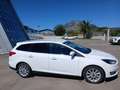 Ford Focus Focus SW 1.5 tdci Titanium s Bianco - thumbnail 13