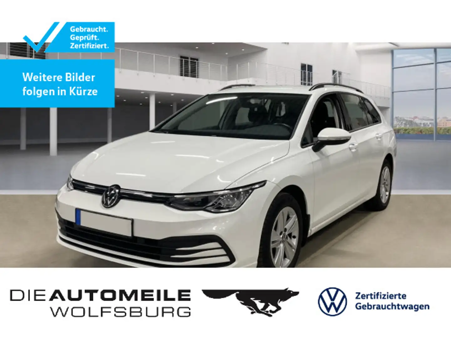 Volkswagen Golf 8 VIII Variant 1.5 TGI DSG Life SITZHZ/LED/ Weiß - 1