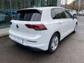 Volkswagen Golf Golf 2.0 TDI 150 CV DSG SCR Style Bianco - thumbnail 7