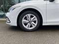 Volkswagen Golf Golf 2.0 TDI 150 CV DSG SCR Style Bianco - thumbnail 9