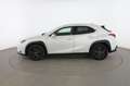 Lexus UX 250h Business Blanco - thumbnail 3