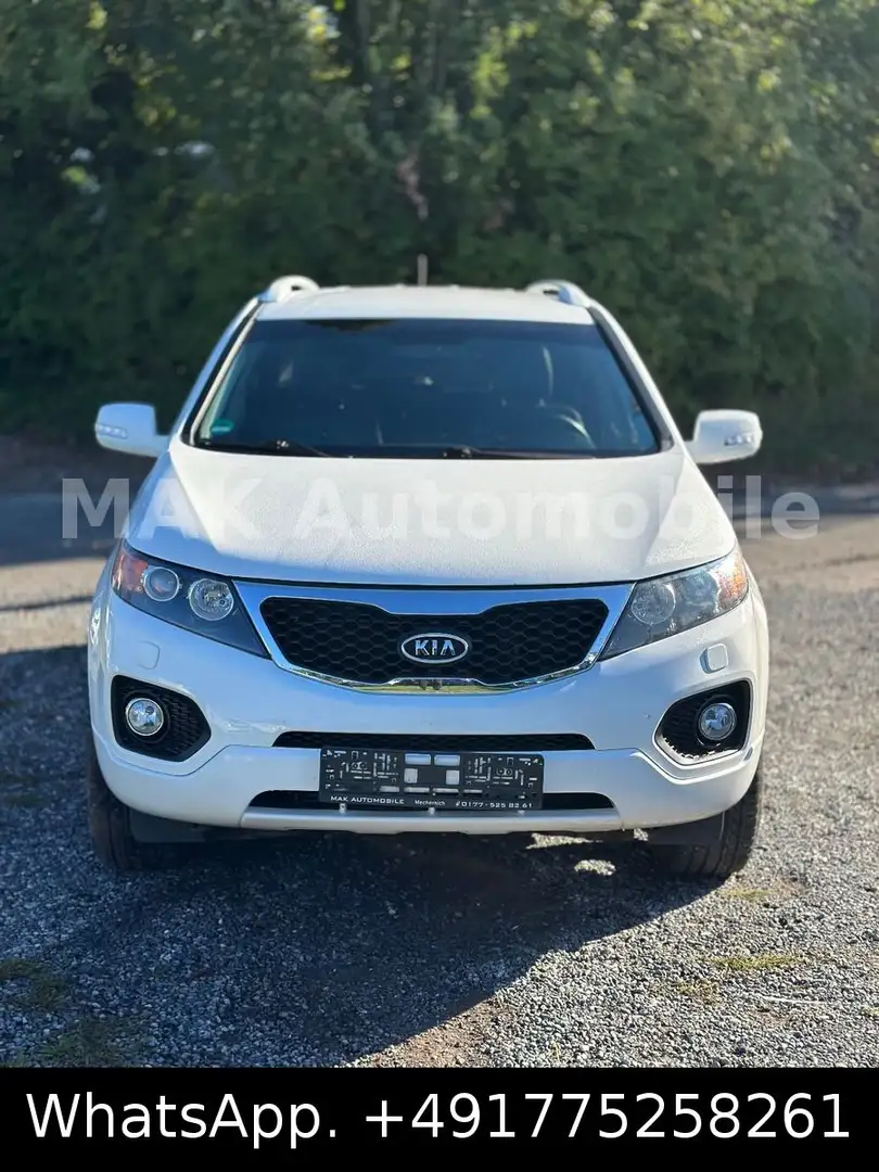 Kia Sorento Spirit 4WD Aut, Navi,Kamera Weiß - 2