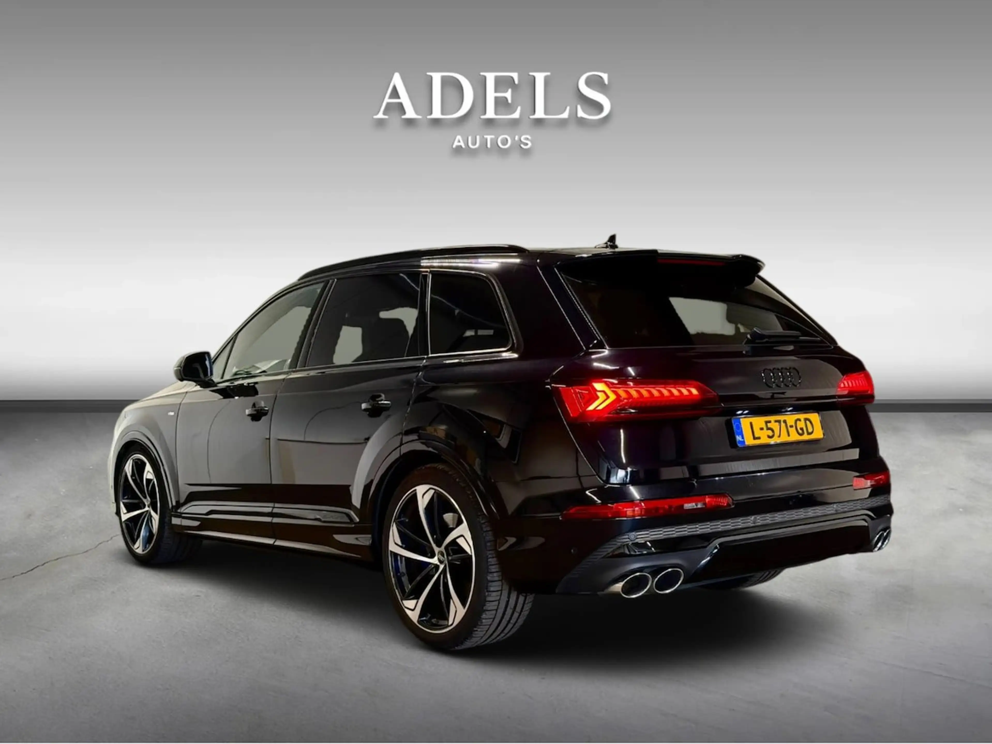 Audi Q7 50 TDI quattro Pro Line Plus 7p — photo 6