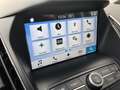 Ford C-Max 1.0 Titanium 125PK NAVI/APPCARPLAY/KEYLESS/LED/ CL Gris - thumbnail 9