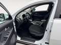 Kia Sportage 2.0 CRDI Dream Team 4WD  Top Zustand Weiß - thumbnail 11