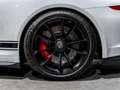 Porsche 991 GT3 (991.1) - Spicy Motor - thumbnail 32