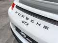 Porsche 991 GT3 (991.1) - Spicy Motor - thumbnail 28