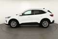 Ford Kuga 1.5 EB Titanium Aut. LED Navi Kamera Sitzheiz Weiß - thumbnail 2