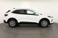 Ford Kuga 1.5 EB Titanium Aut. LED Navi Kamera Sitzheiz Weiß - thumbnail 6