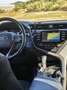Toyota Camry Híbrido Business Aut. - thumbnail 10