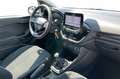 Ford Fiesta 7ª serie 1.1 75 CV GPL 5 porte Titanium Blanc - thumbnail 15