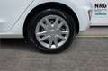 Ford Fiesta 7ª serie 1.1 75 CV GPL 5 porte Titanium Blanc - thumbnail 8