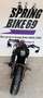 Indian Scout - thumbnail 3