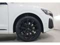 Audi SQ8 4.0 TFSI quattro B&O*Pano*Matrix * Weiß - thumbnail 5