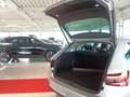 Skoda Superb Navigationssystem Rückfahrkamera Argent - thumbnail 12