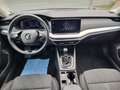 Skoda Octavia Combi IV Style First Edition 1.5 TSI Blau - thumbnail 12