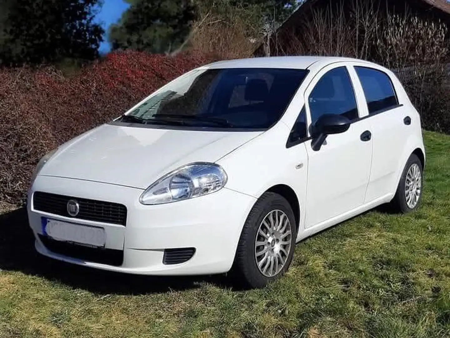 Fiat Punto Evo Punto EVO  5-Türer 1.2 8V Active Start Biały - 2