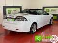 Saab 9-3 Cabrio 1.9 TiD Vector TX –LuxuryPack – Pelle S Blanc - thumbnail 7
