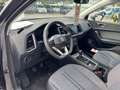 SEAT Ateca Style Edition 1.0 TSI Grau - thumbnail 16