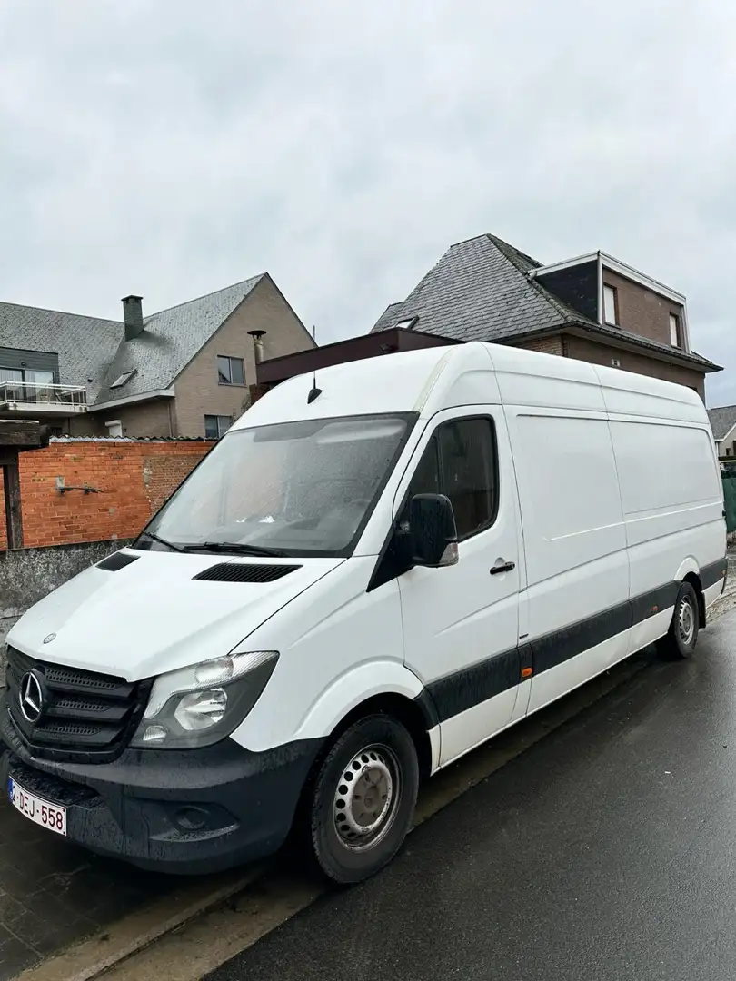 Mercedes-Benz Sprinter 313 CDI (BlueTec) 906.633 BlueEFFICIENCY Wit - 1