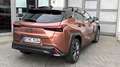 Lexus UX 300h UX300h F-SPORT DESIGN *Sonderedition* Roşu - thumbnail 4