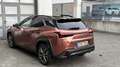 Lexus UX 300h UX300h F-SPORT DESIGN *Sonderedition* Roşu - thumbnail 5