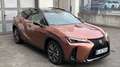 Lexus UX 300h UX300h F-SPORT DESIGN *Sonderedition* Roşu - thumbnail 13