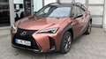 Lexus UX 300h UX300h F-SPORT DESIGN *Sonderedition* Roşu - thumbnail 2