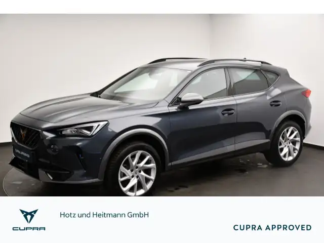 CUPRA Formentor 2.0 TSI DSG 4Drive Standhzg/ACC/Rückka