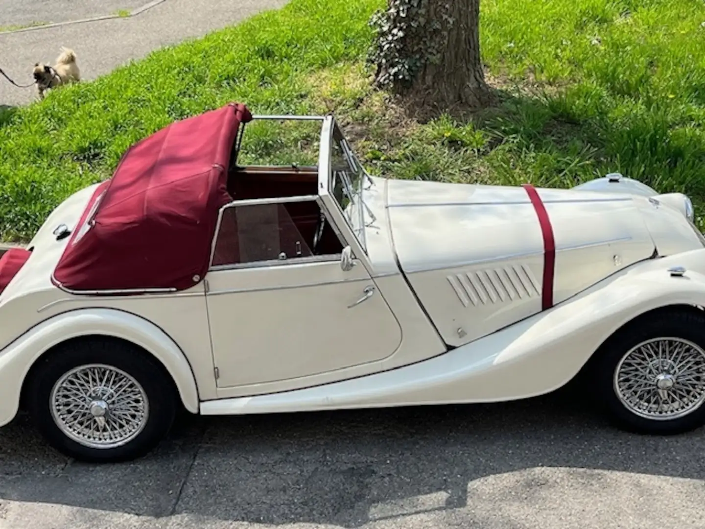 Morgan Plus 4 Drophead Coupe mit traumhafter Patina Beige - 2