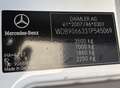 Mercedes-Benz Sprinter 316 CDI,Kaste,L2H2,AHK 3,5T,Standhei,Net.16500€ Weiß - thumbnail 8