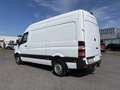 Mercedes-Benz Sprinter 316 CDI,Kaste,L2H2,AHK 3,5T,Standhei,Net.16500€ Weiß - thumbnail 3