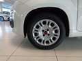 Fiat Panda 1.3 MJT S&S Easy Van 4 posti Blanco - thumbnail 9